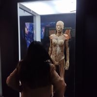 Cuerpo humano de mujer