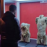 Interior del cuerpo humano